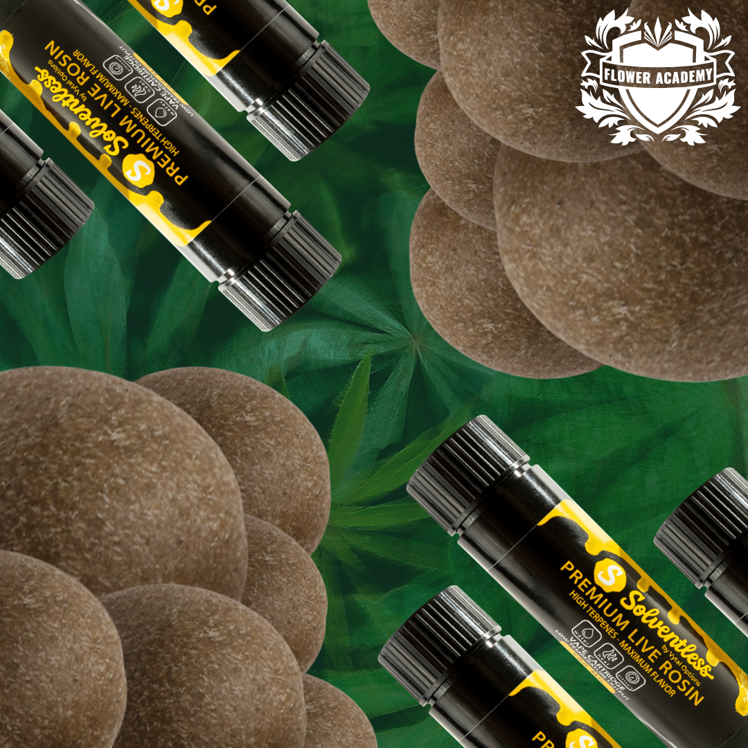 e.l.f camo liquid bronzer & contour Ball Vapes - The pros and cons and why you may want to upgrade to a ball  vaporizer main image 0